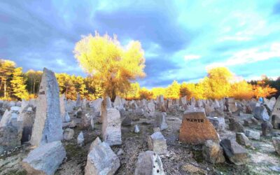 Jugendliche aus Magdeburg gehen auf eine emotionale Gedenkstättenfahrt